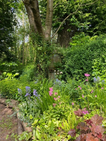 Mapperley Gardens